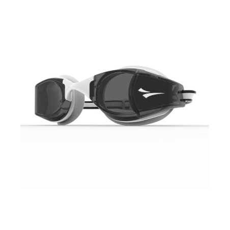 Lunette intelligente Finis