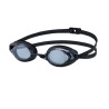 SWANS SR-2NEV Optic black